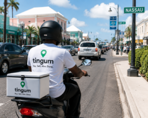Tingum Delivery is Coming
